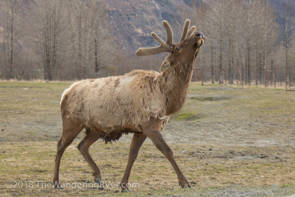 Drive From Anchorage-7340