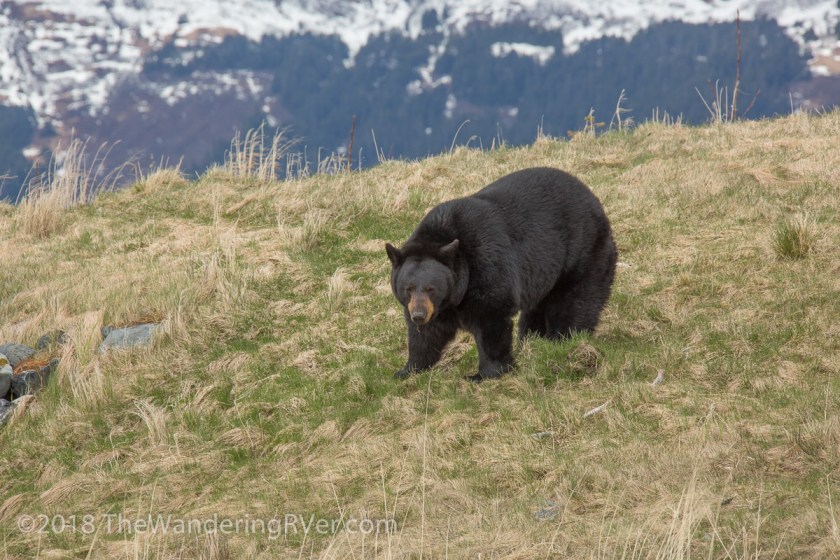 Drive From Anchorage-7370