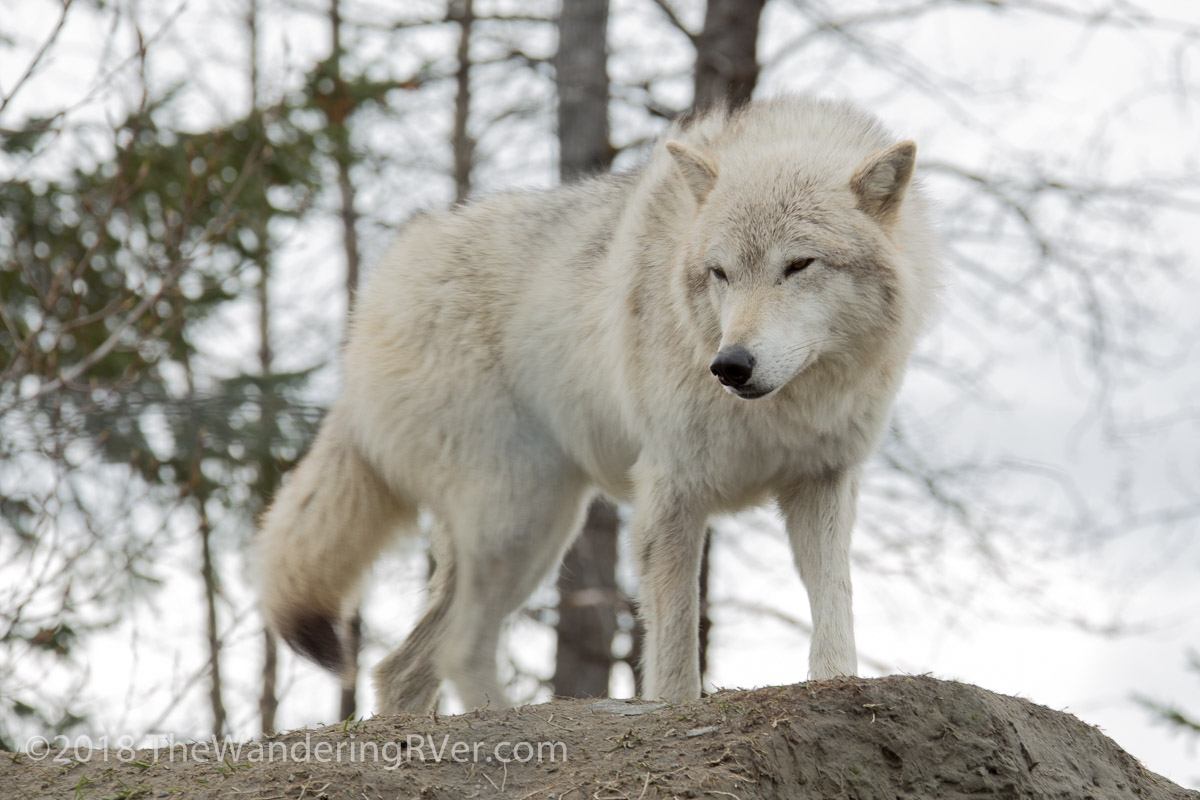 Drive From Anchorage-7384