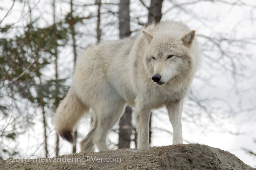 Drive From Anchorage-7384