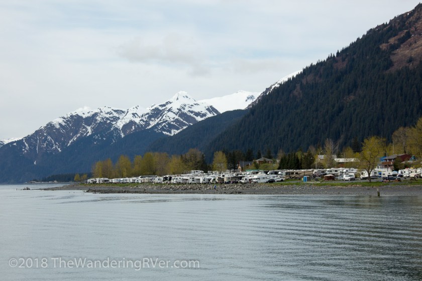 Kenai Fjords Glacier Cruise-7425