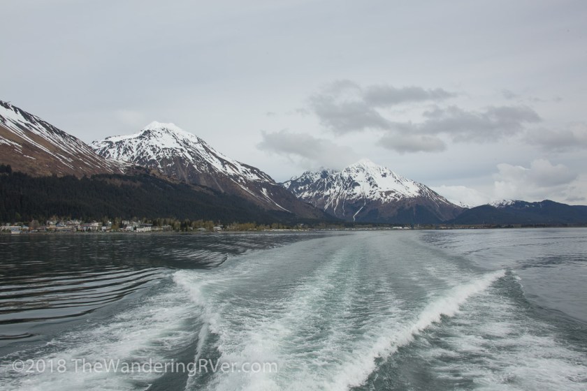 Kenai Fjords Glacier Cruise-7431