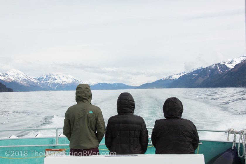 Kenai Fjords Glacier Cruise-7475