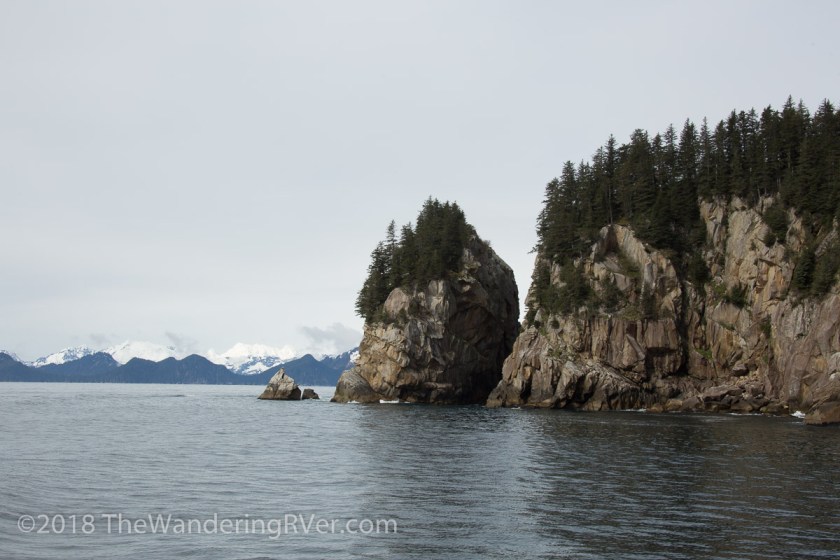Kenai Fjords Glacier Cruise-7523
