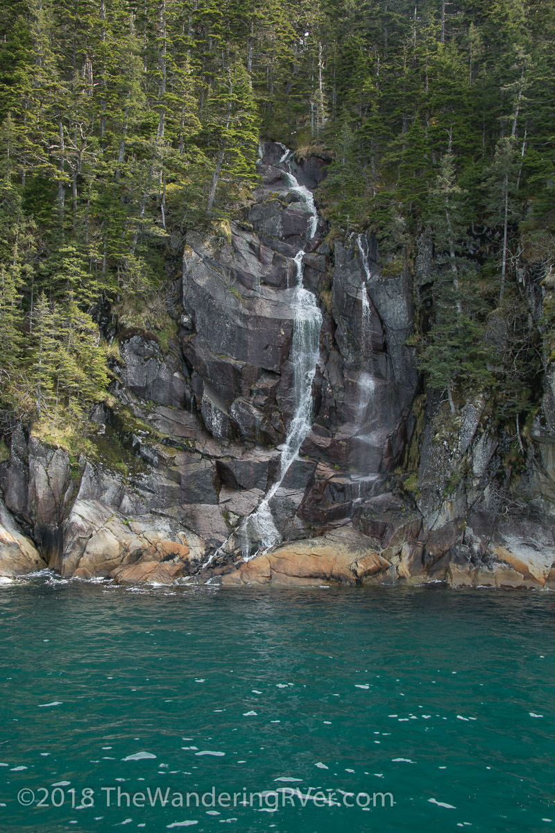 Kenai Fjords Glacier Cruise-7638