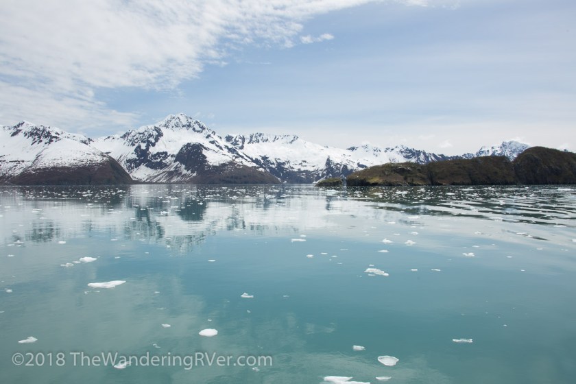 Kenai Fjords Glacier Cruise-7681