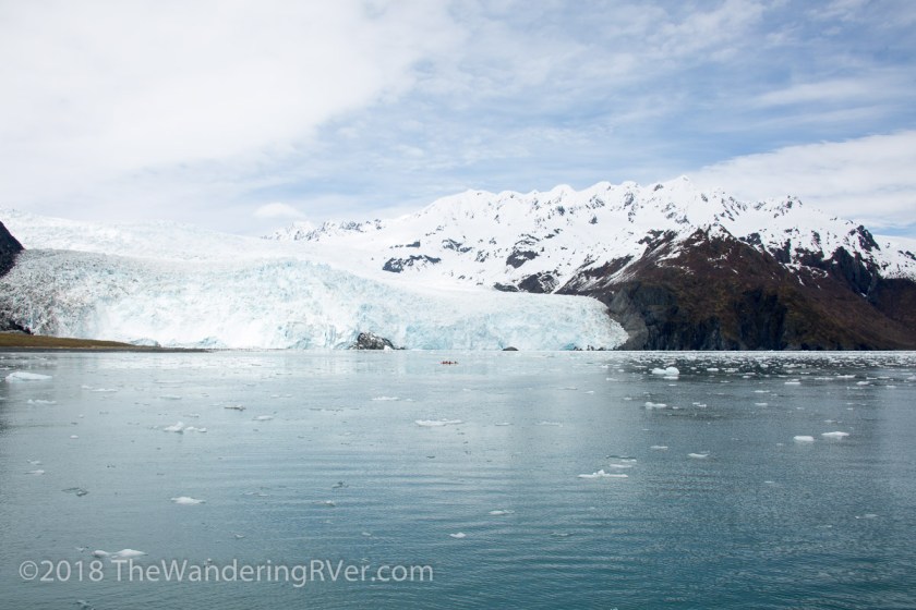 Kenai Fjords Glacier Cruise-7694