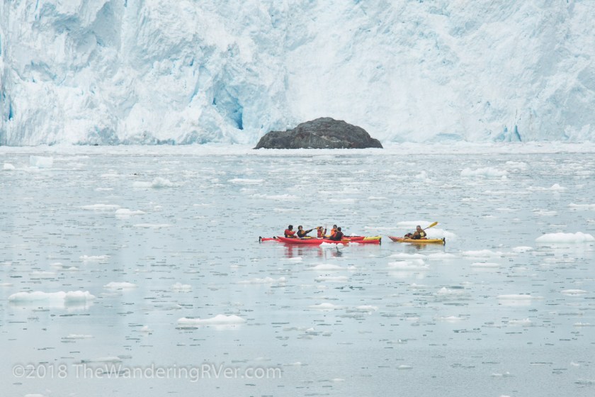 Kenai Fjords Glacier Cruise-7695