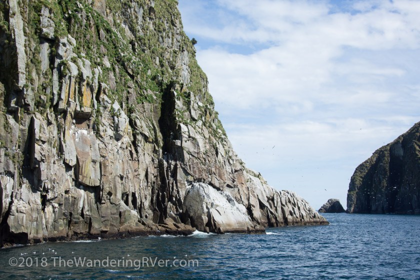 Kenai Fjords Glacier Cruise-7855
