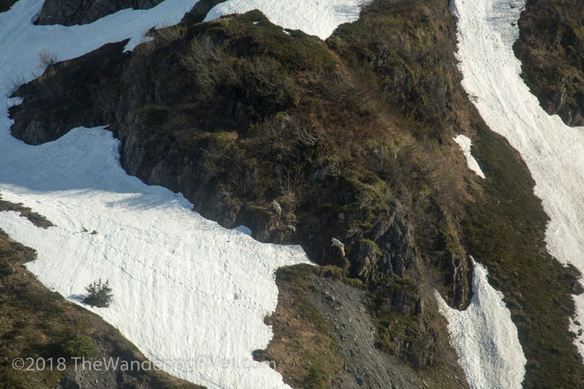 Marathon Helicopter-8447