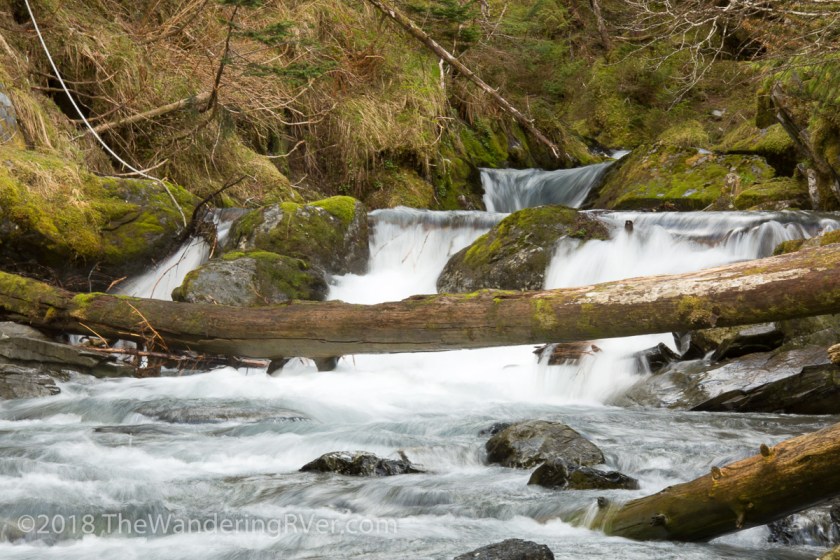 Whittier Glacier Cruise-7991