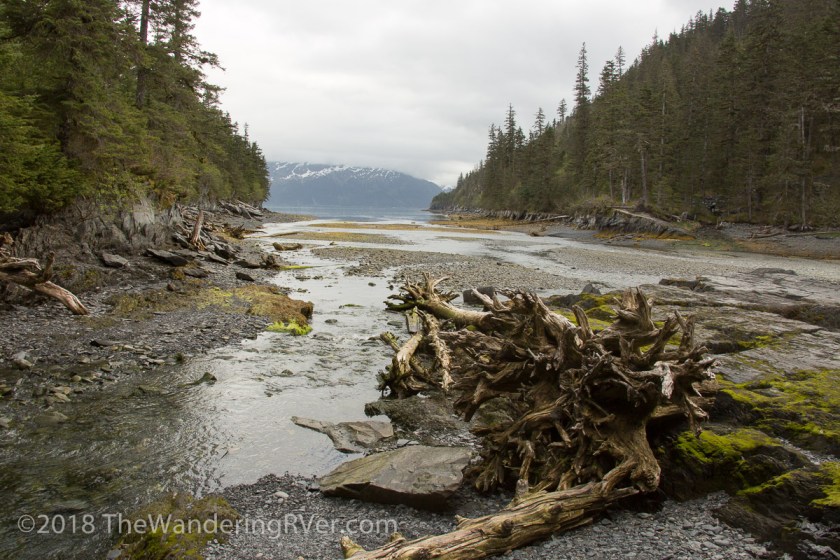 Whittier Glacier Cruise-7999