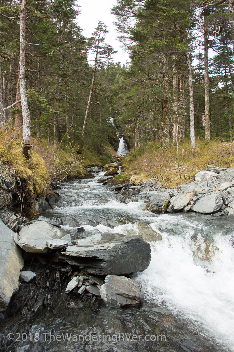 Whittier Glacier Cruise-8018