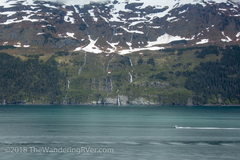 Whittier Glacier Cruise-8040