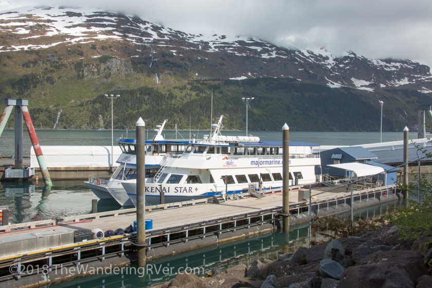Whittier Glacier Cruise-8043