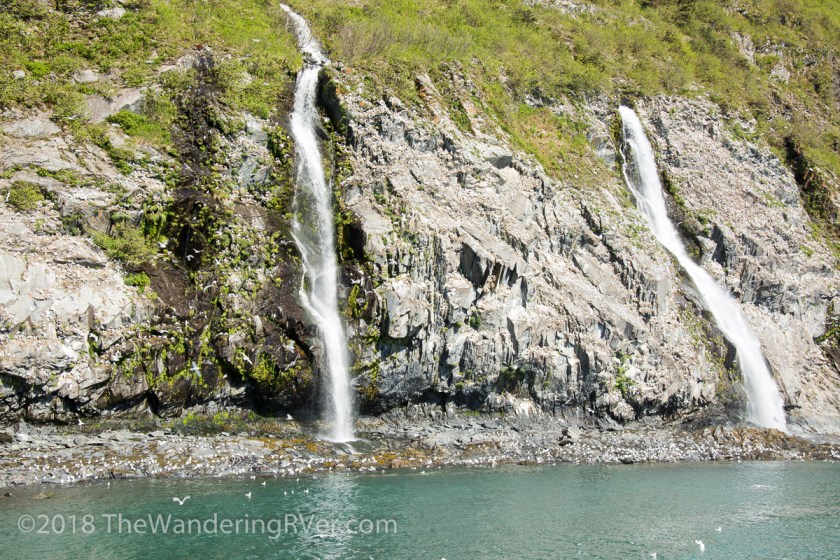 Whittier Glacier Cruise-8051