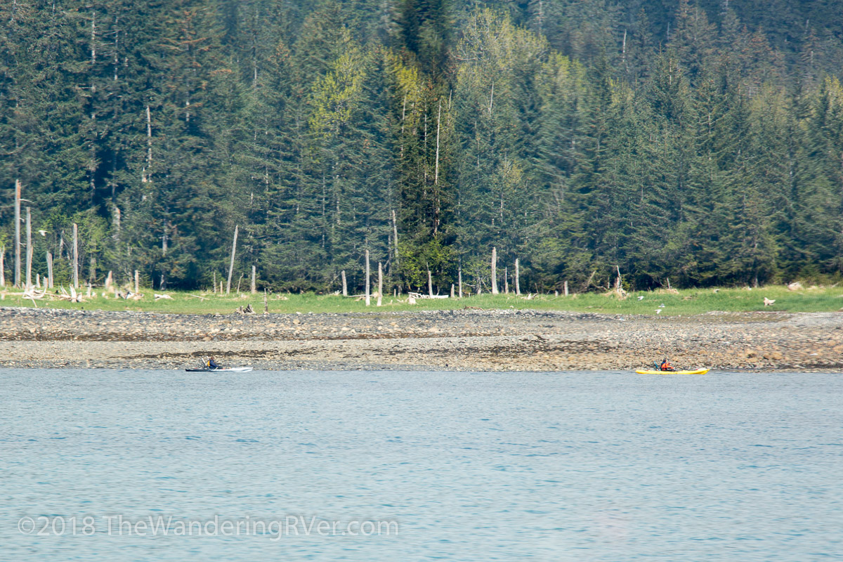 Whittier Glacier Cruise-8070