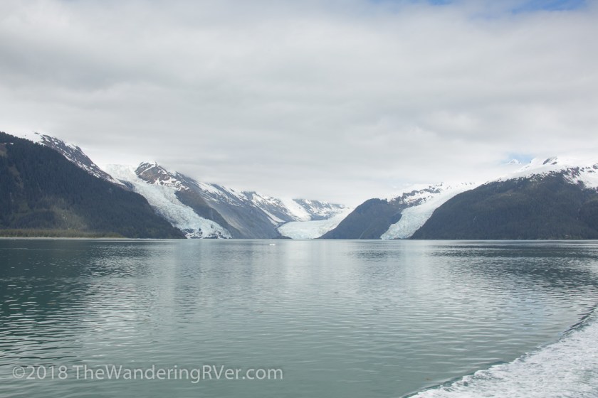 Whittier Glacier Cruise-8127