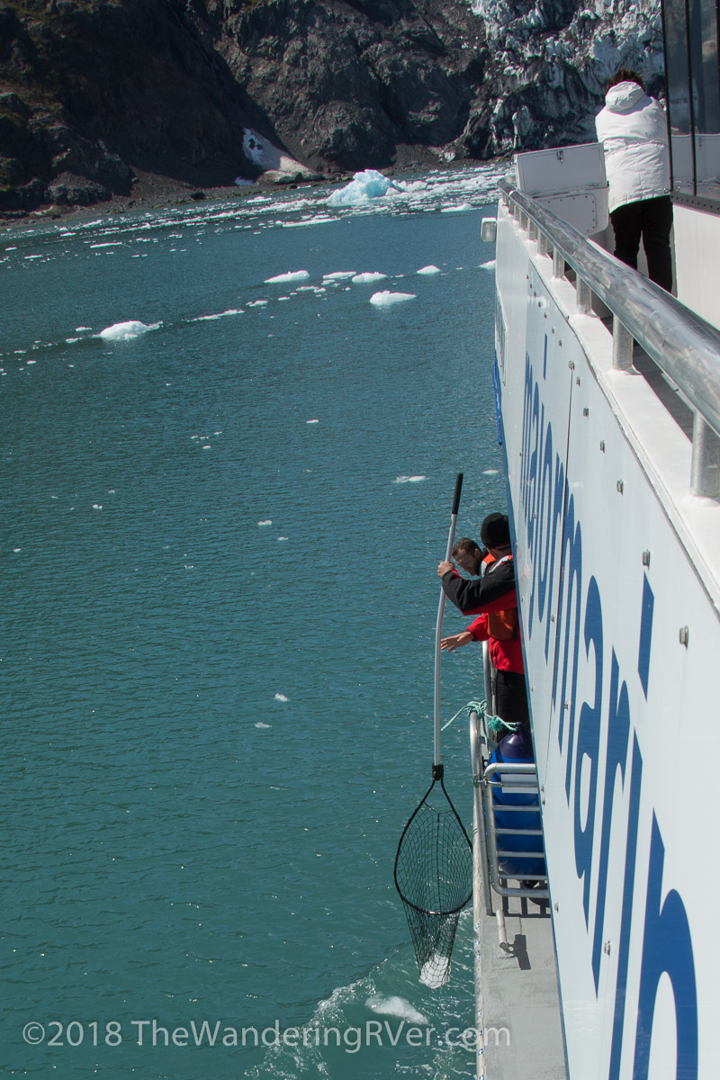 Whittier Glacier Cruise-8136