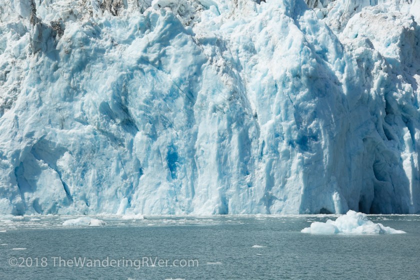 Whittier Glacier Cruise-8143
