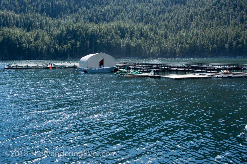 Whittier Glacier Cruise-8181