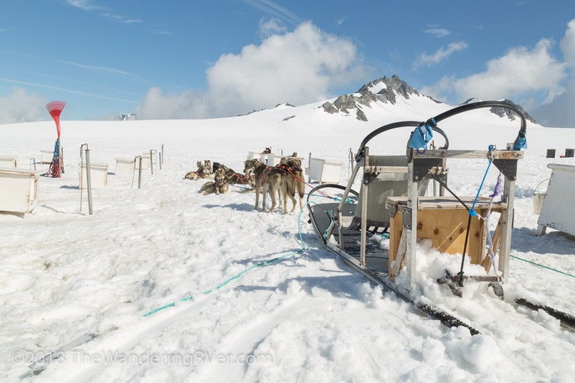 Seward Helo Dog Sled-8656