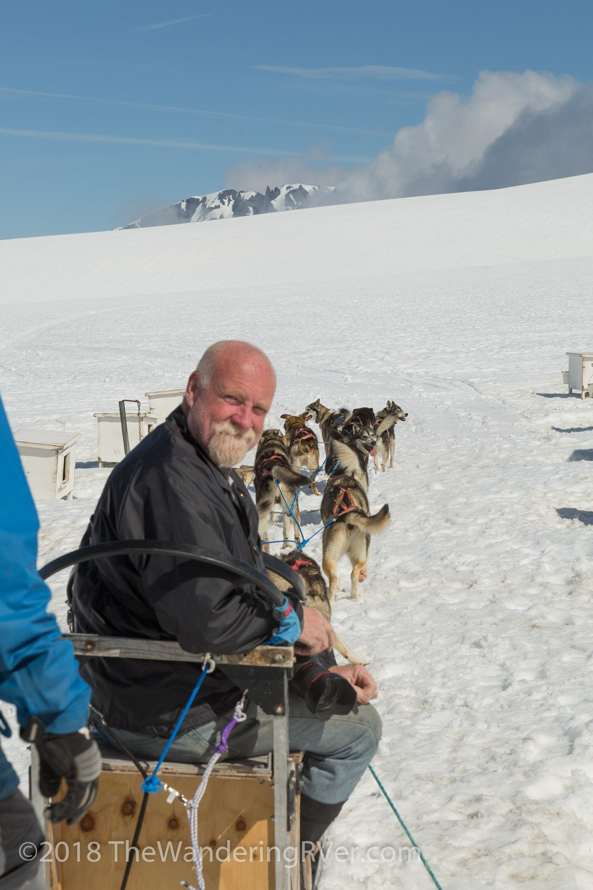 Seward Helo Dog Sled-8662