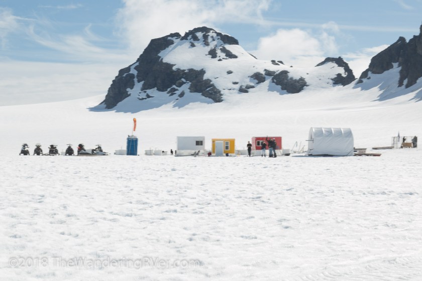 Seward Helo Dog Sled-8668