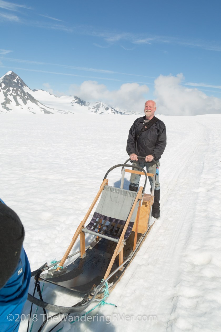 Seward Helo Dog Sled-8669