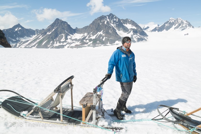 Seward Helo Dog Sled-8671