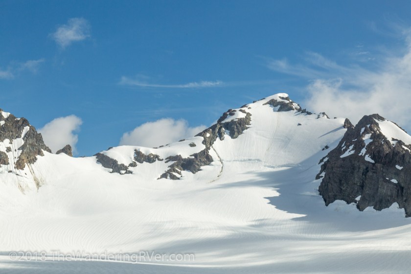 Seward Helo Dog Sled-8720