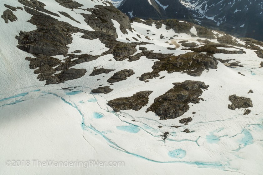 Seward Helo Dog Sled-8722