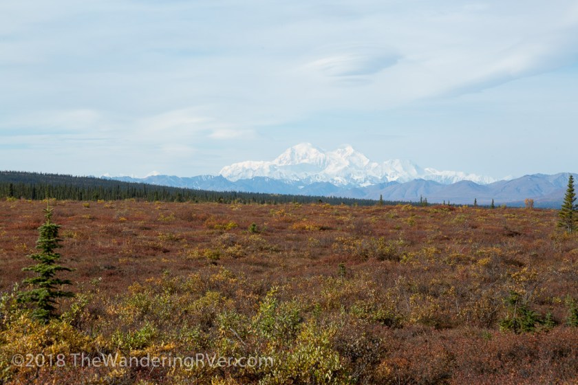 Denali Hwy-9451