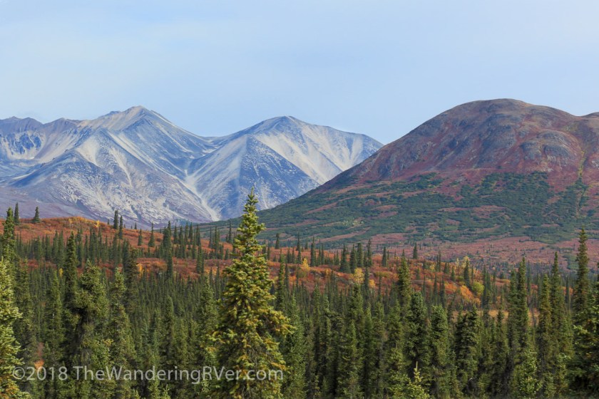 Denali Hwy-9471