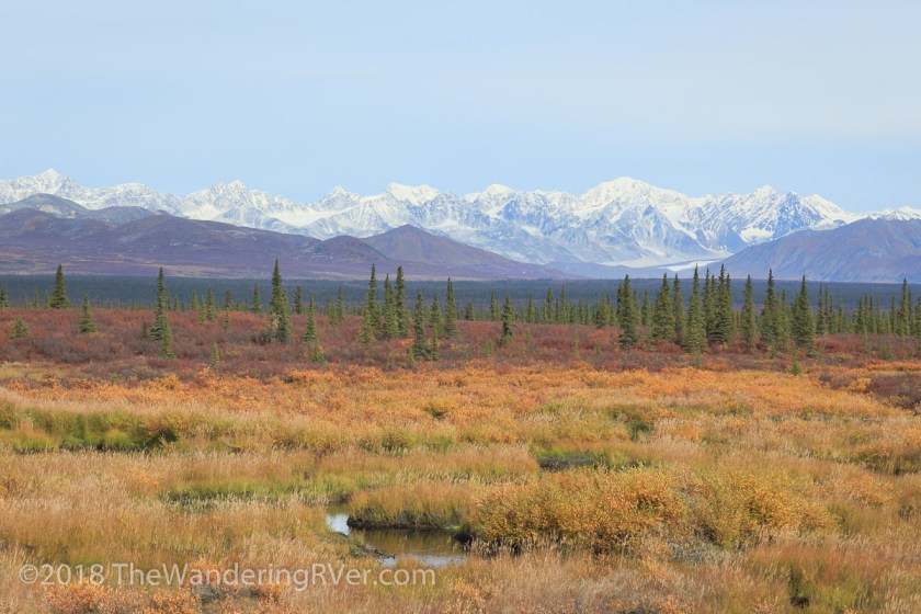 Denali Hwy-9551