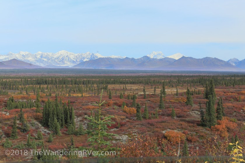 Denali Hwy-9571