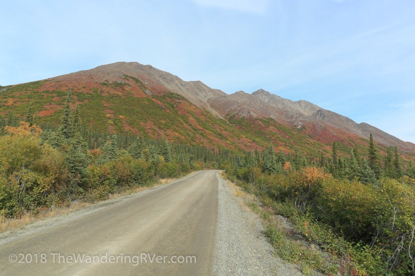 Denali Hwy-9647