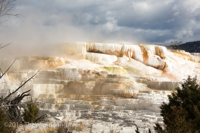 Yellowstone NP-0421