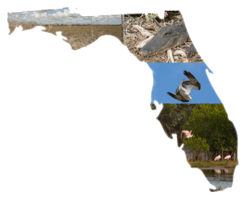 Florida