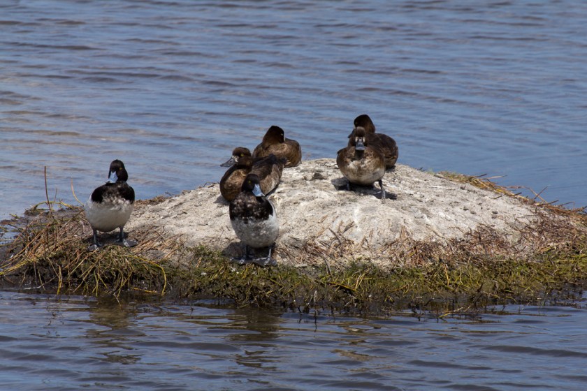 2012March30-120330-015