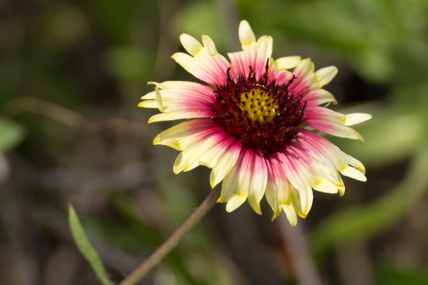 2012March30-120330-043