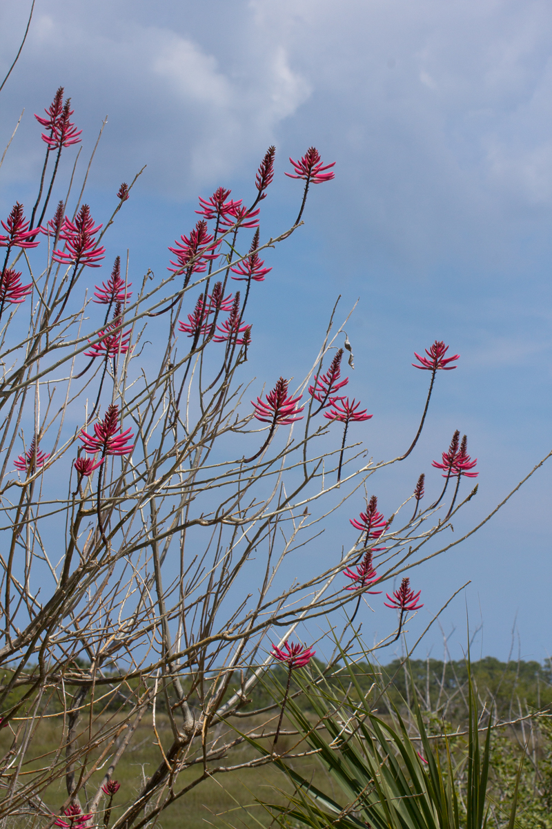 2012March30-120330-061