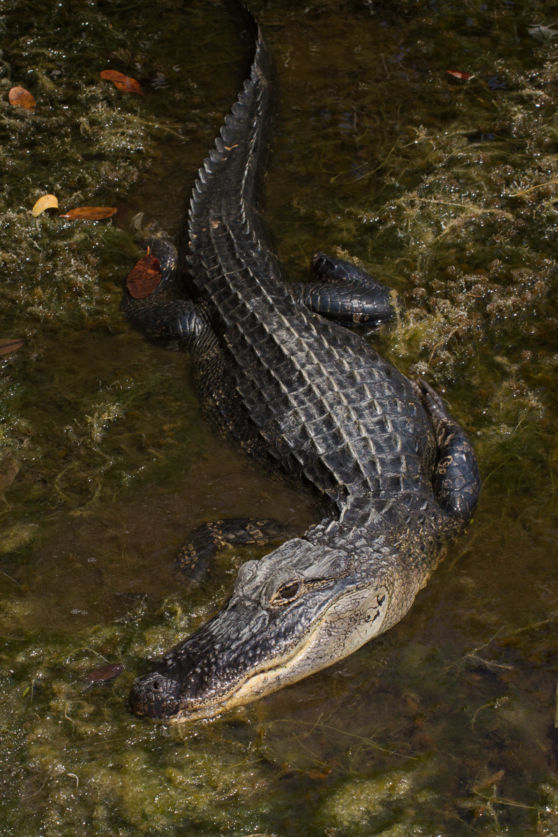 2012March30-120330-087