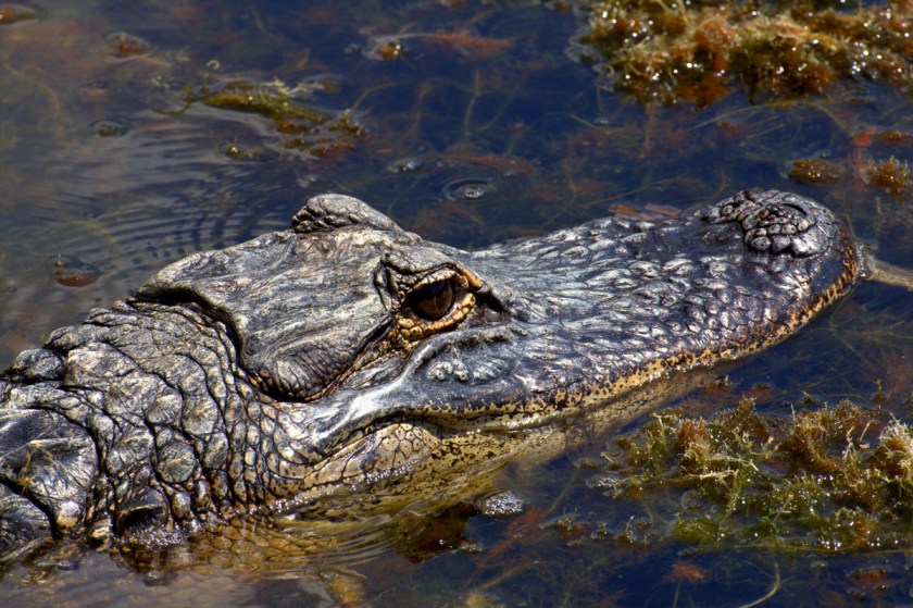 2012March30-120330-114