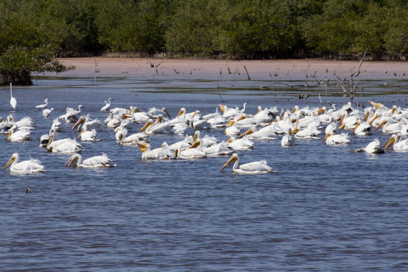 2012March30-120330-191