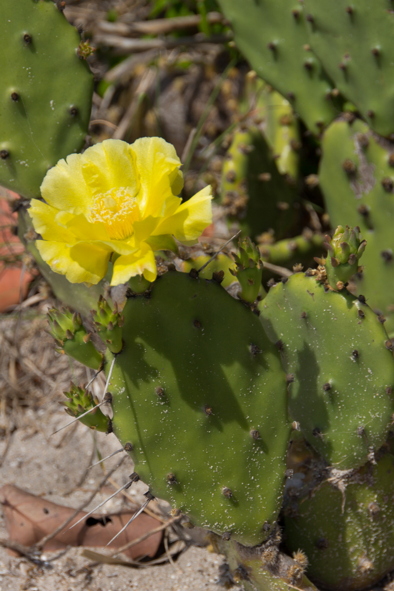 2012March30-120330-242