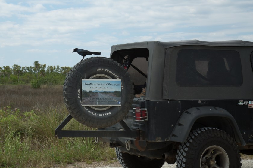 Merritt Island NWR-1657
