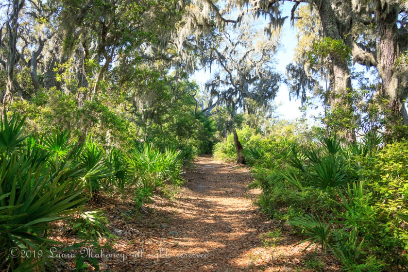 Cumberland Island-1996