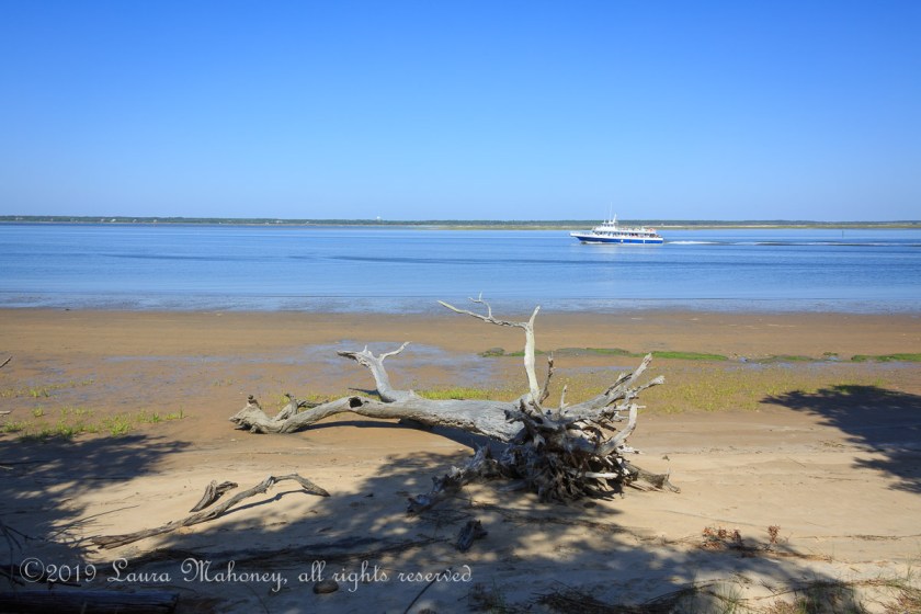 Cumberland Island-2004