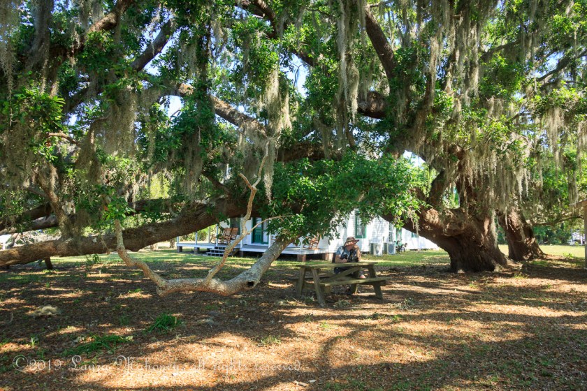 Cumberland Island-2008